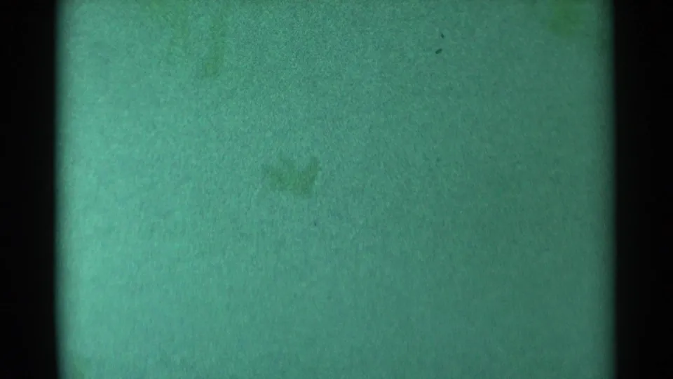 1959 8mm frame from South Dakota showing a green, indistinct surface split by a dark vertical band and softened by grain.