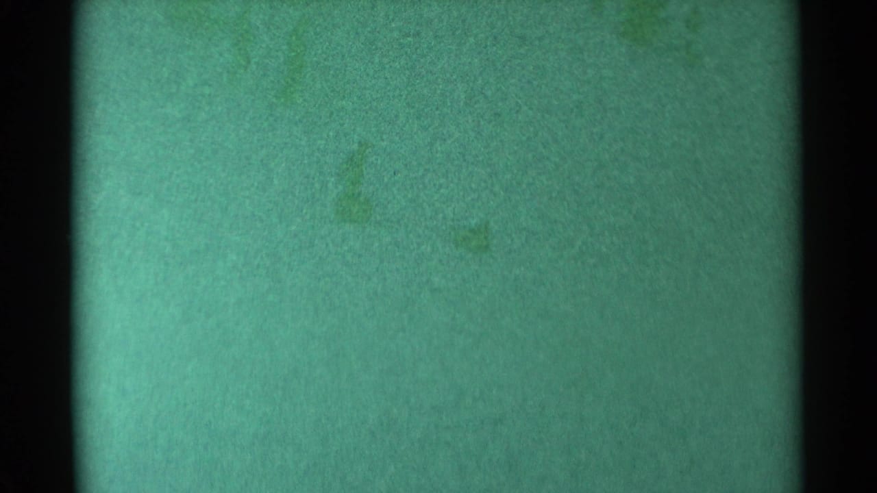 Green-tinted damaged 8mm frame with faint water texture and dark frame edges.