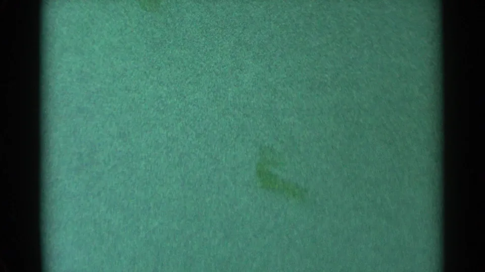 1959 South Dakota home-movie frame where faint dark shapes, possibly ducks, appear amid green fading and heavy film grain.