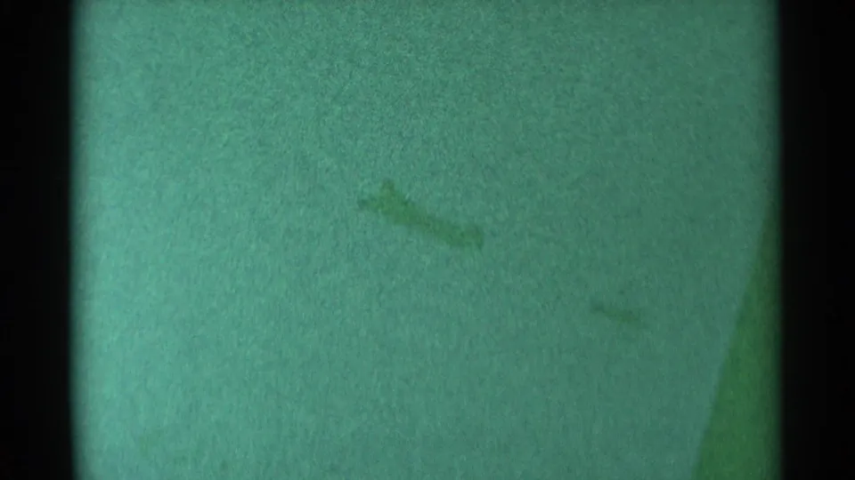 Faded 1959 South Dakota 8mm frame with faint possible ducks on water, heavy grain, scratches, and green color shift.