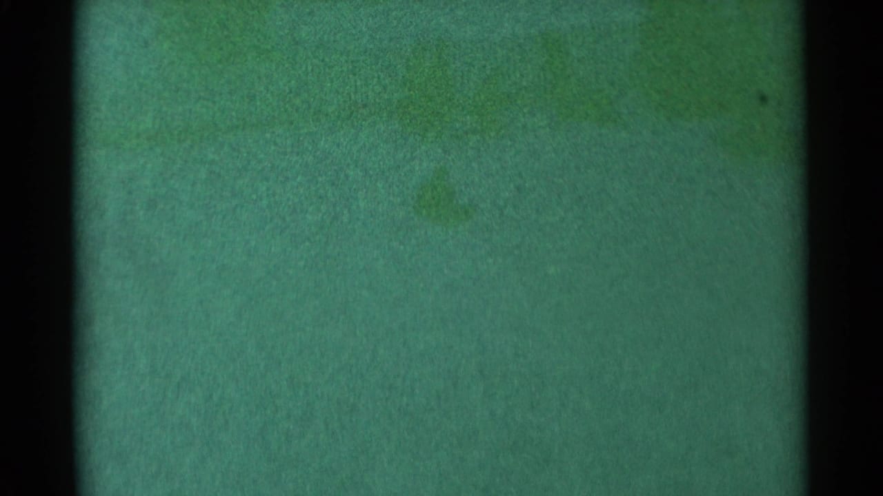 Green film frame with dark side borders, grain, and faint indistinct marks.