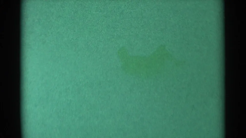Final sampled 1959 South Dakota frame shows green-tinted 8mm texture, dark vertical borders, and faint marks without visible people or property.