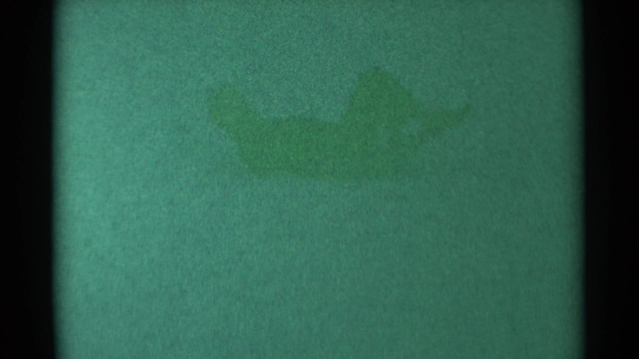 A green-tinted 1959 South Dakota home-movie frame shows a distant dark figure on a snowy slope.