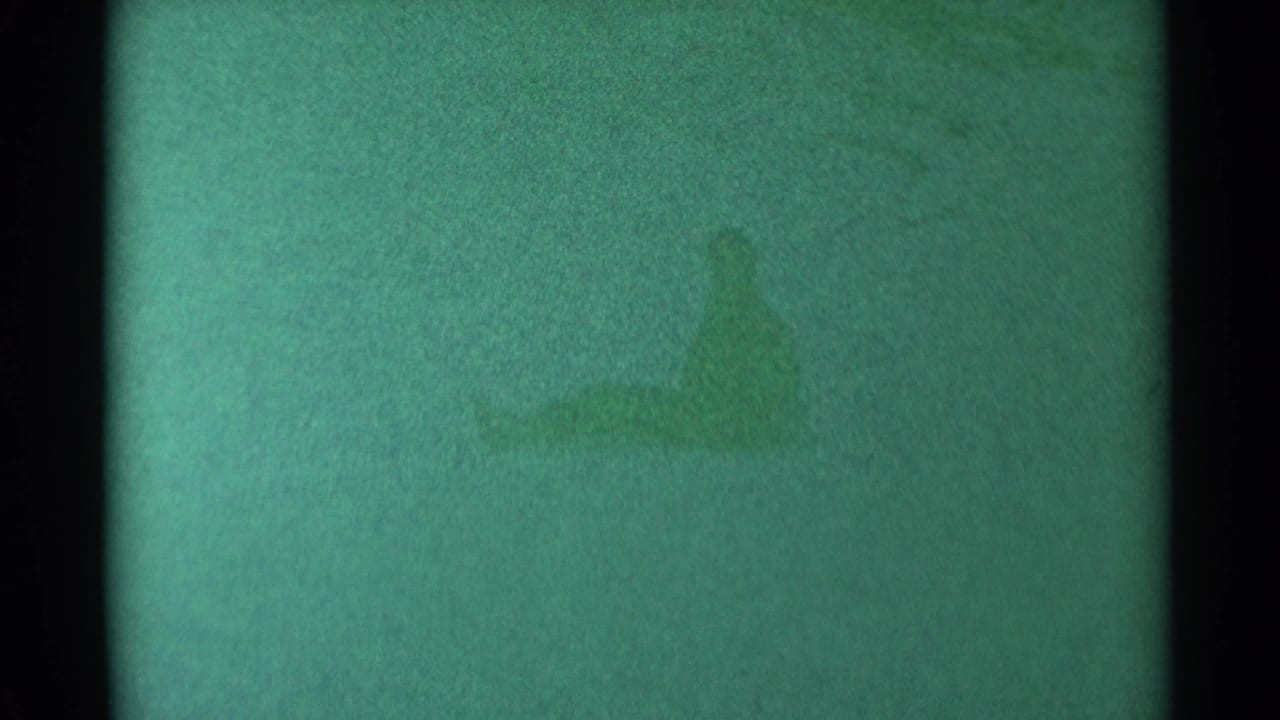Soft, green-tinted 8mm frame from the clip with no clear people or roadside details visible.