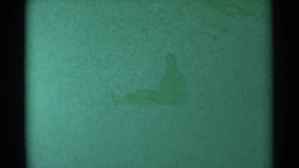 Soft, green-tinted 8mm frame from the clip with no clear people or roadside details visible.