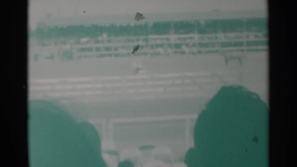 A soft, green-tinted 8mm frame shows the Cheyenne rodeo arena, bleachers and foreground audience heads during horse activity.