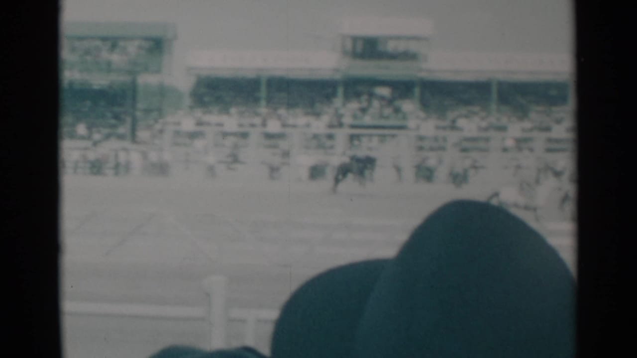A horse and rider cross the arena while spectators fill the covered grandstand behind them.