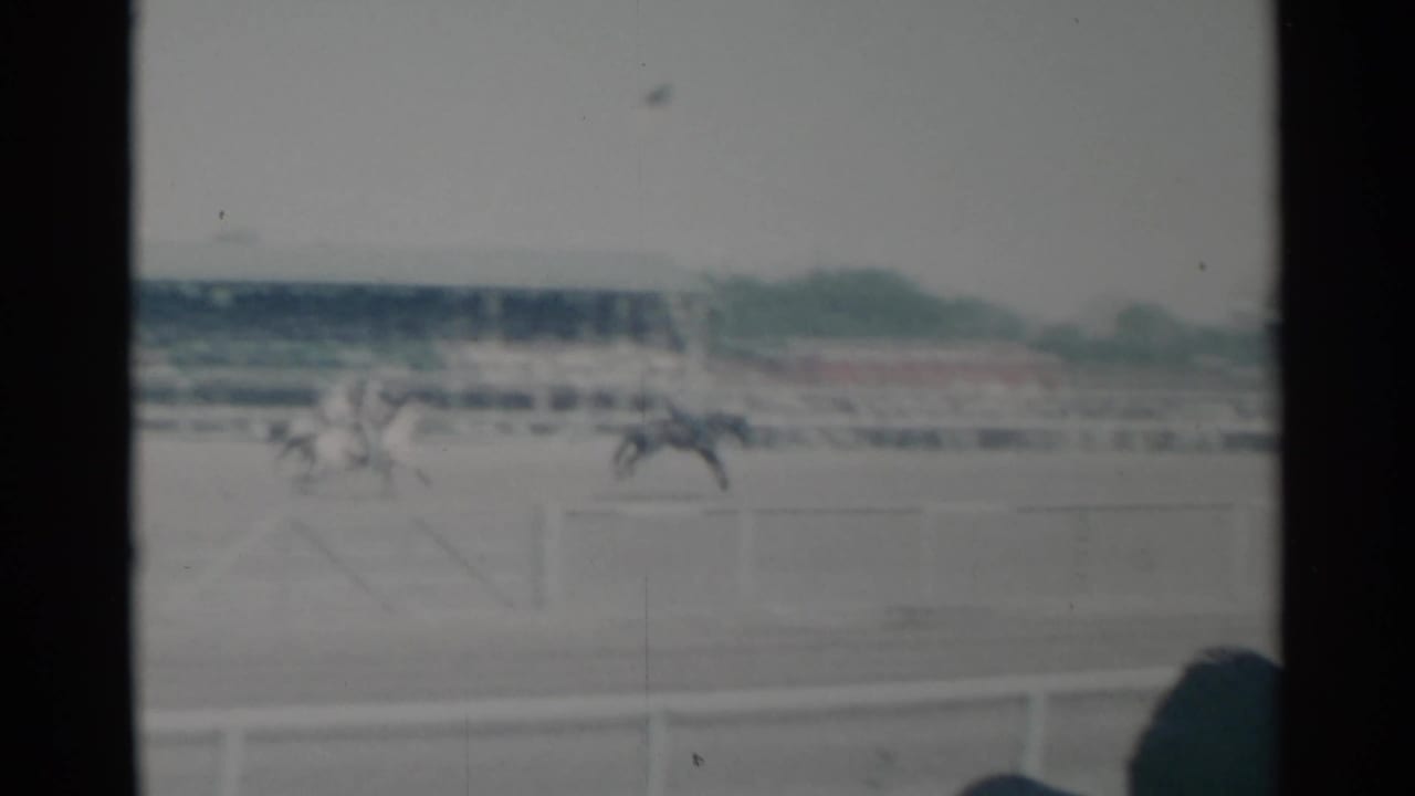 Horses race along a dirt track beyond white rail fencing with grandstands in the distance.
