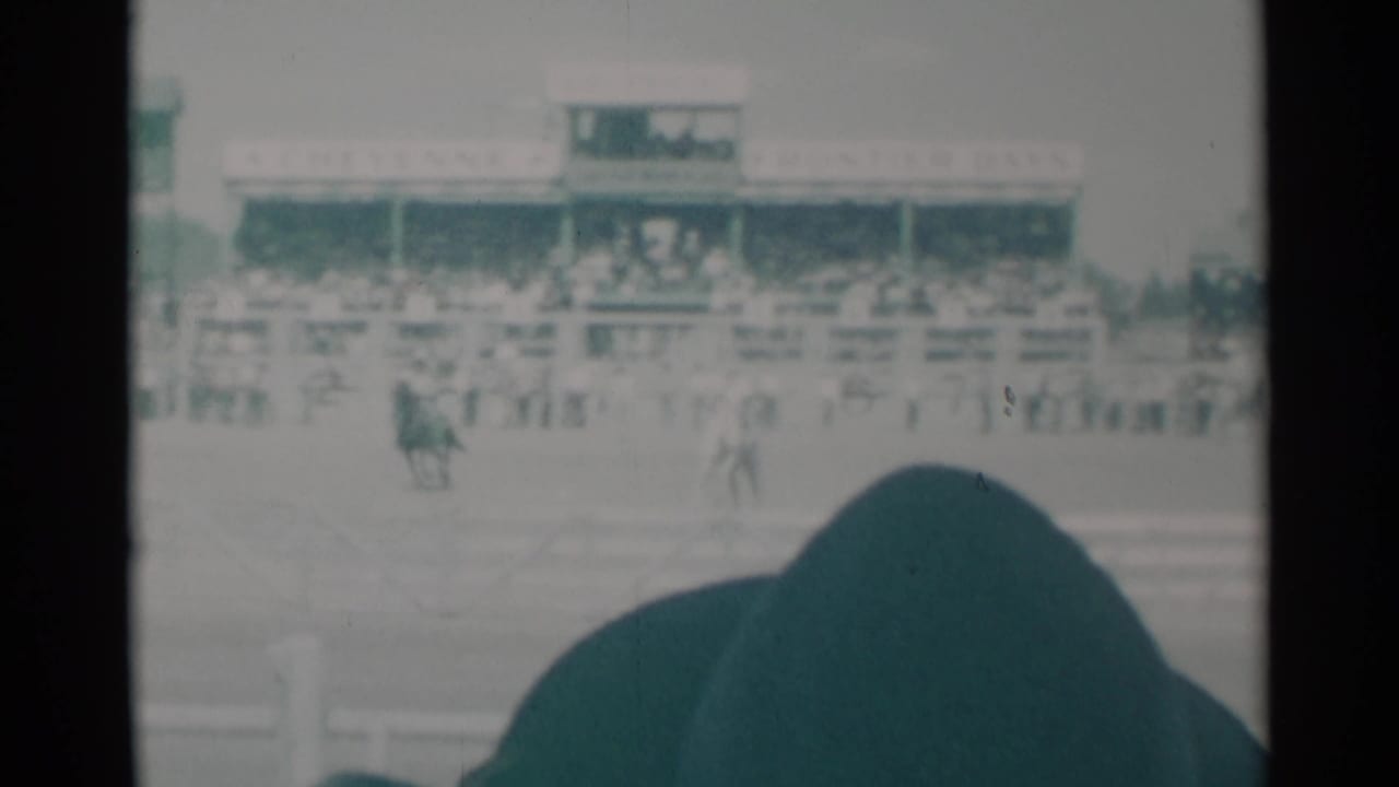 Grandstand and racecourse seen past a dark spectator head in the foreground.