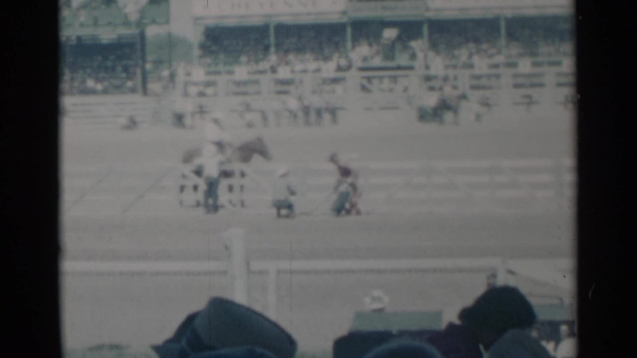 Rodeo arena with horses, people on the field, grandstands, and spectator heads in the foreground.