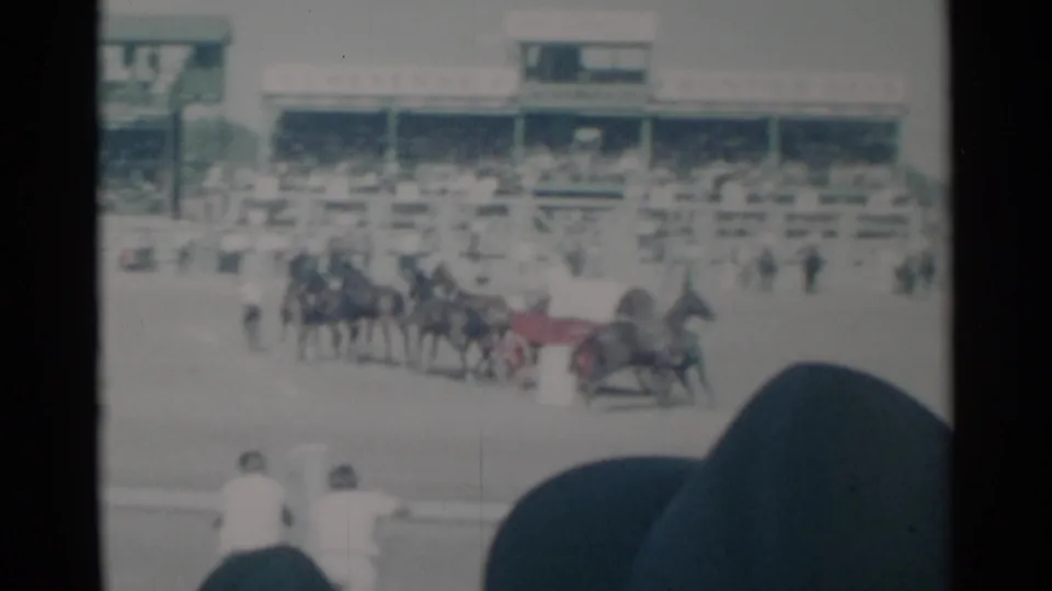 1960 Cheyenne rodeo arena view with multiple horses moving across the field, watched by grandstand spectators and foreground audience members.