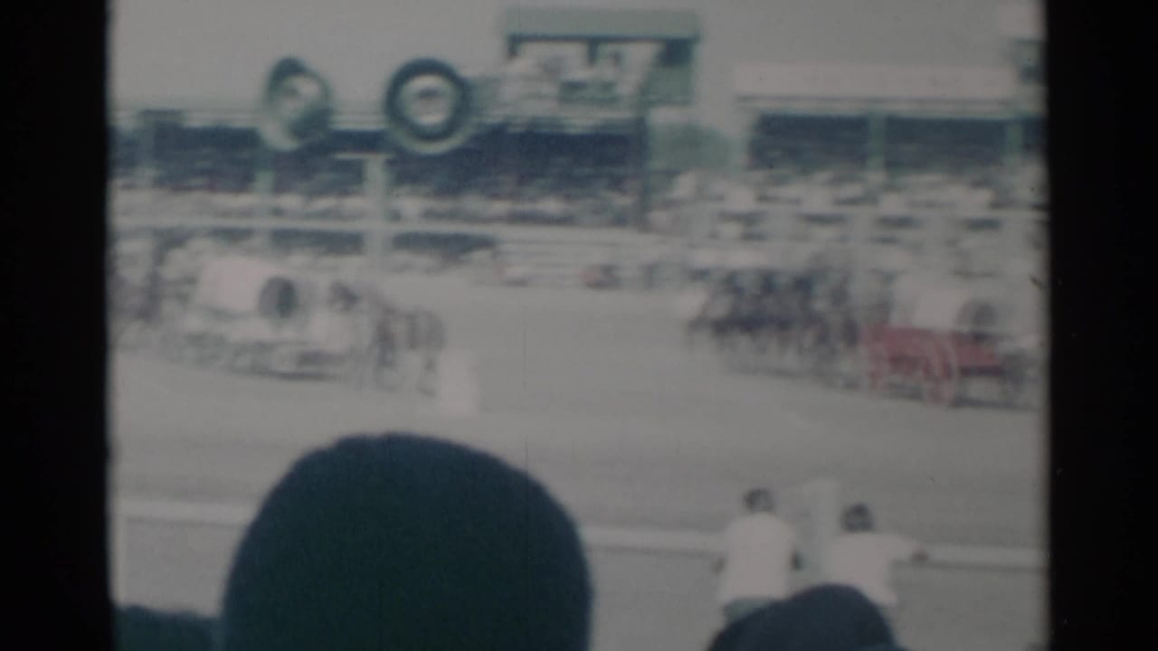 Horse-drawn chariots race across a rodeo arena with bleachers and signage behind them.