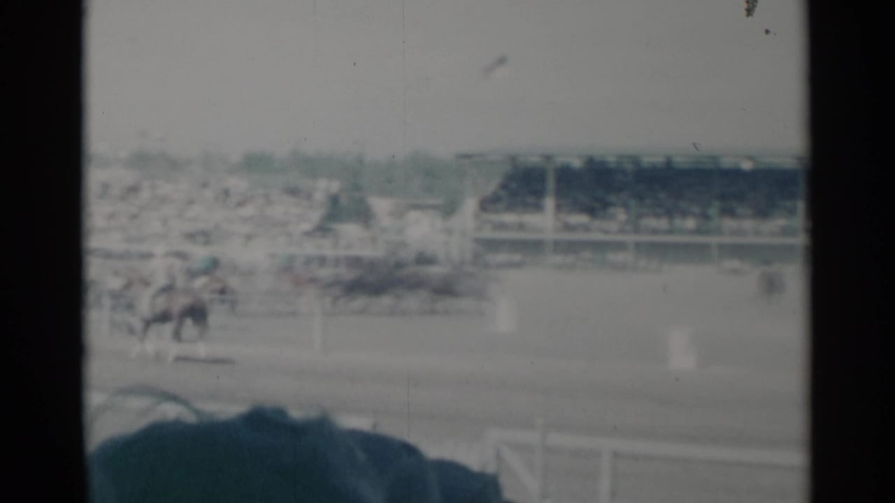 Horse-drawn chariot race at Cheyenne Frontier Days, seen from the stands with the arena and crowd in soft 8mm focus.