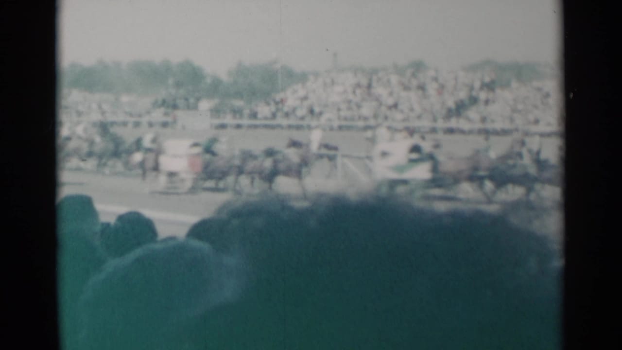 Horse race seen from the crowd with grandstands and spectator silhouettes.
