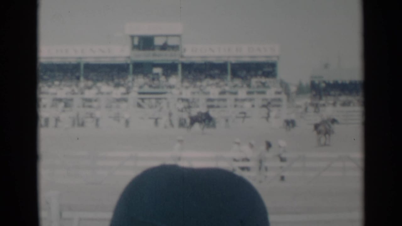 Rodeo grandstand and arena with a horse moving at right and spectators in the foreground.