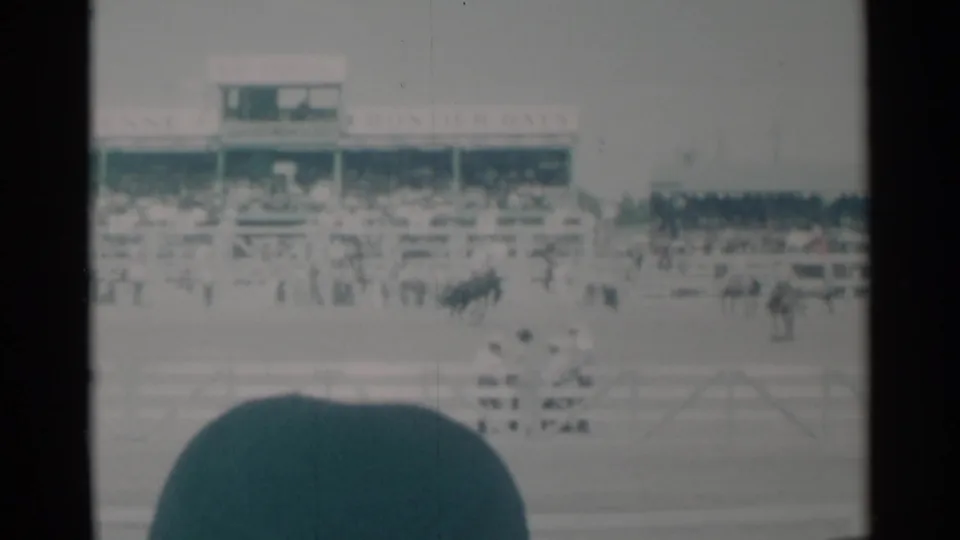 1960 Cheyenne Frontier Days arena view with a dark horse bucking low in front of the grandstand and spectator heads at the bottom.