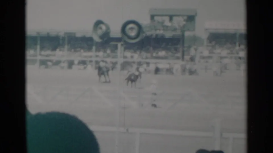 Cheyenne, Wyoming 1960 footage of horseback riders near the starting area, with spectators seated in open-air grandstands behind them.