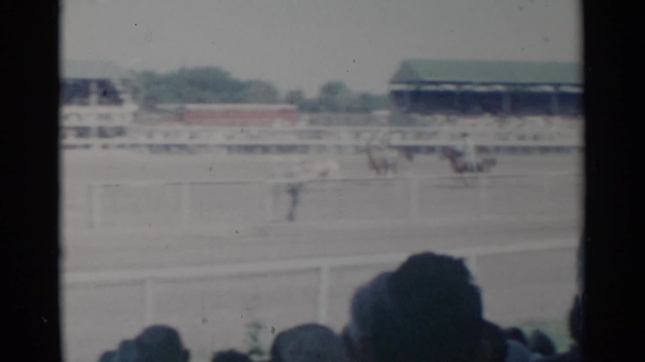 Rodeo arena seen past spectator heads, with riders and livestock in the distance.