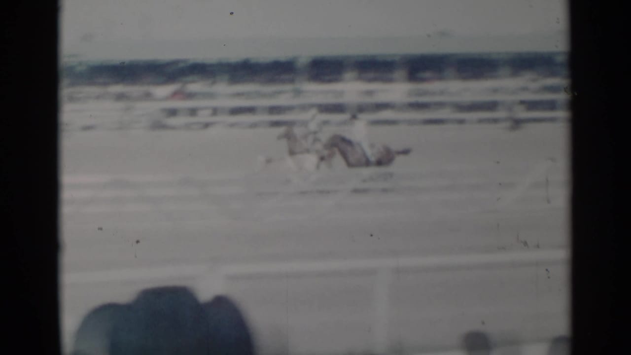 Horseback riders chase a steer across a pale rodeo arena.