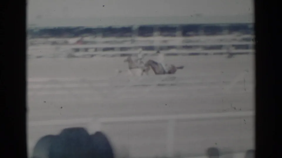 Distant horseback riders appear to pursue a steer across the Cheyenne rodeo arena in faded 8mm footage.