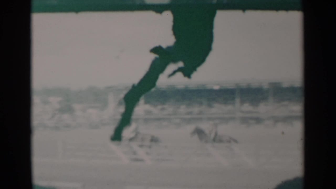 A rider on horseback appears high in frame over a pale track background.