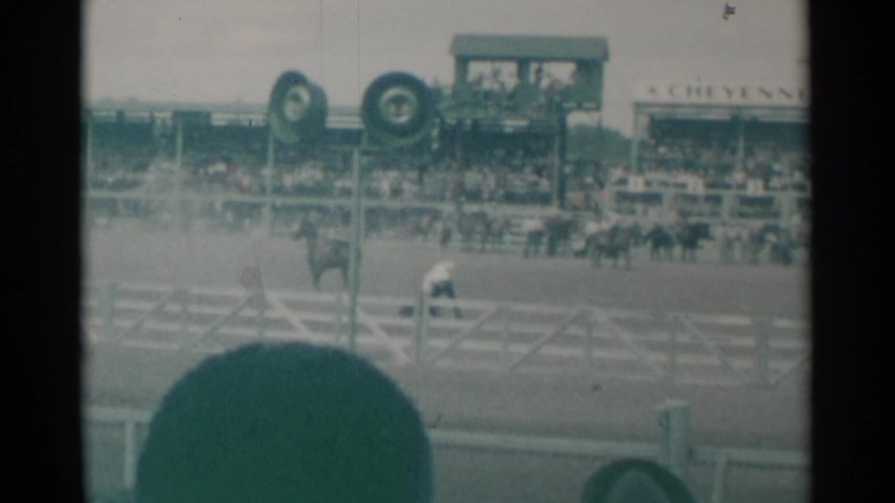 Rodeo arena with horses, riders, grandstand crowd, overhead fixtures, and a spectator head in the foreground.