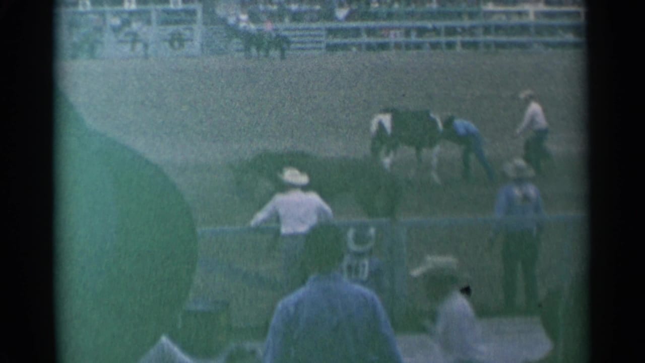Rodeo arena with cowboys, horses, spectators, and a partial foreground head.