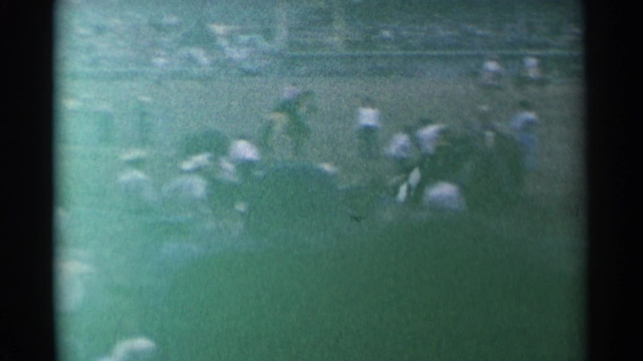 Distant rodeo arena with cowboys and horses partly obscured by a green-tinted foreground haze.