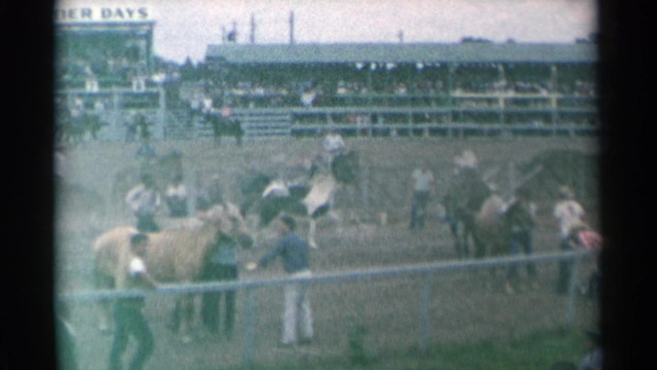 Rodeo arena with horses, handlers, spectators, and partial Frontier Days signage.