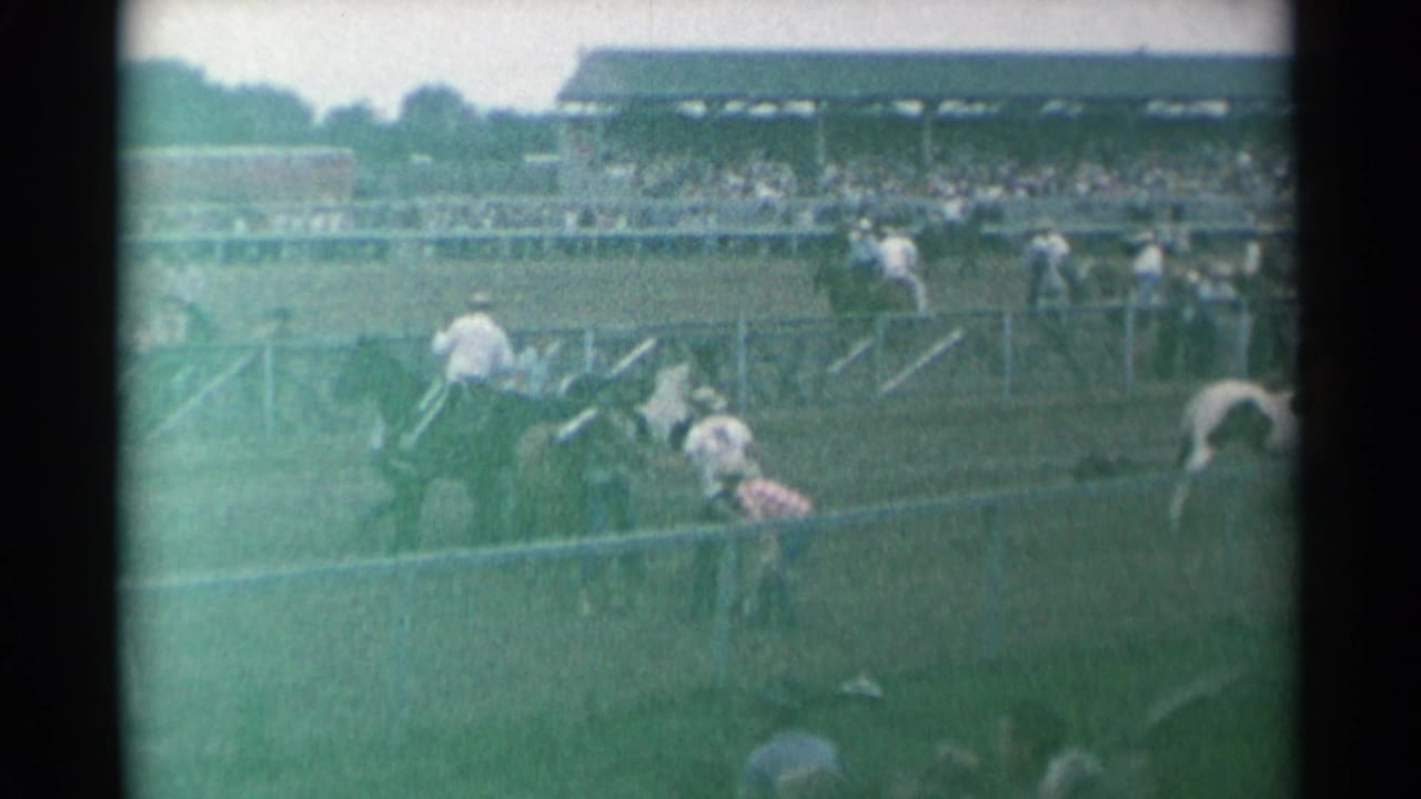 Mounted rider and horses in a rodeo arena with grandstands in the background.