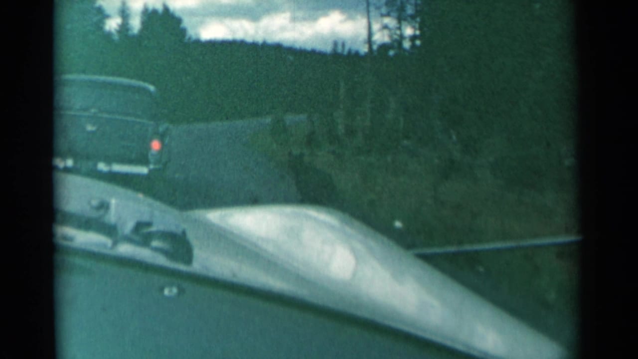 Windshield view of a rural road with a car hood, dashboard, lead vehicle, trees, and hillside.