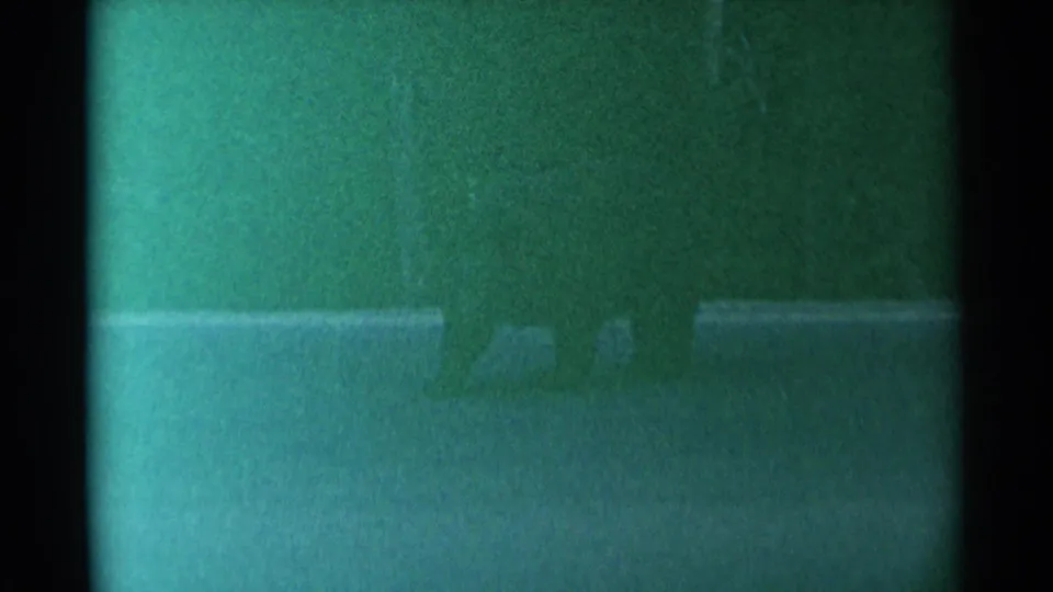 Low-visibility 8mm frame from Cheyenne metadata showing an unclear dark figure or animal-like form in a grainy night field.