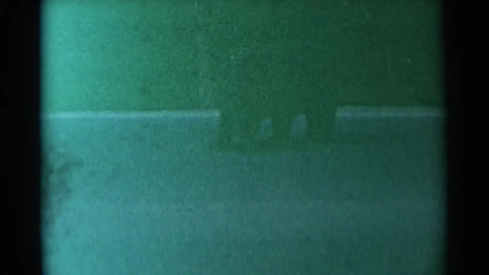 1961 8mm home-movie frame showing a blurred windshield view at the start of a wooded road sequence in Wyoming.