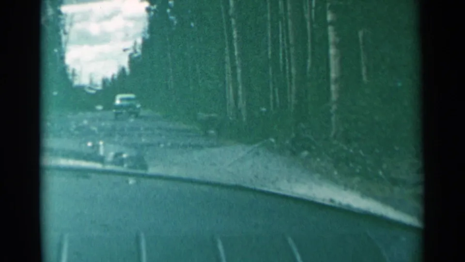Handheld 8mm view from a car traveling along a narrow forest road, with another vehicle ahead in the distance.