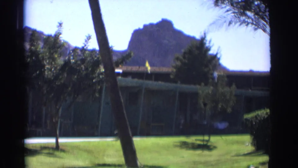 Cataloged 1961 Cheyenne, Wyoming frame with palm-lined lawn, low green building, yellow flag, and mountain backdrop.