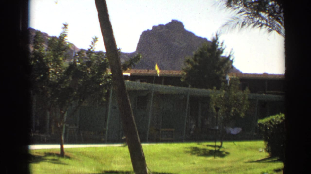 Courtyard lawn and low building framed by trees, palm fronds, and a rocky hill.