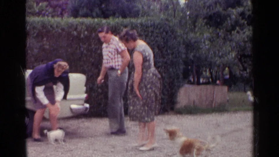 Adults in 1960s clothing watch small dogs on gravel beside a parked car and hedge in the supplied Germany footage.