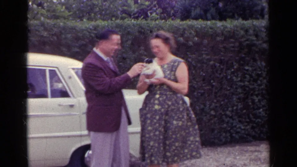 An adult man gently reaches toward the puppy held by the woman, with the car door and hedge visible in the background.