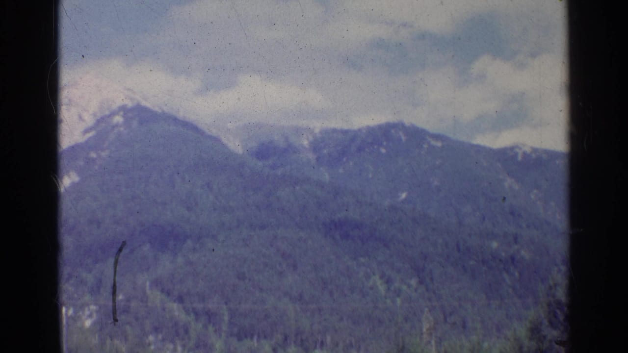 Snow-capped mountains above a dark evergreen forest under cloudy blue sky.