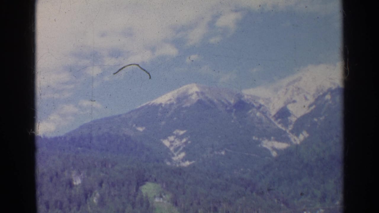 1961 Germany 8mm frame of snow-capped mountains over a forested valley, with dust and a curved scratch visible in the sky.