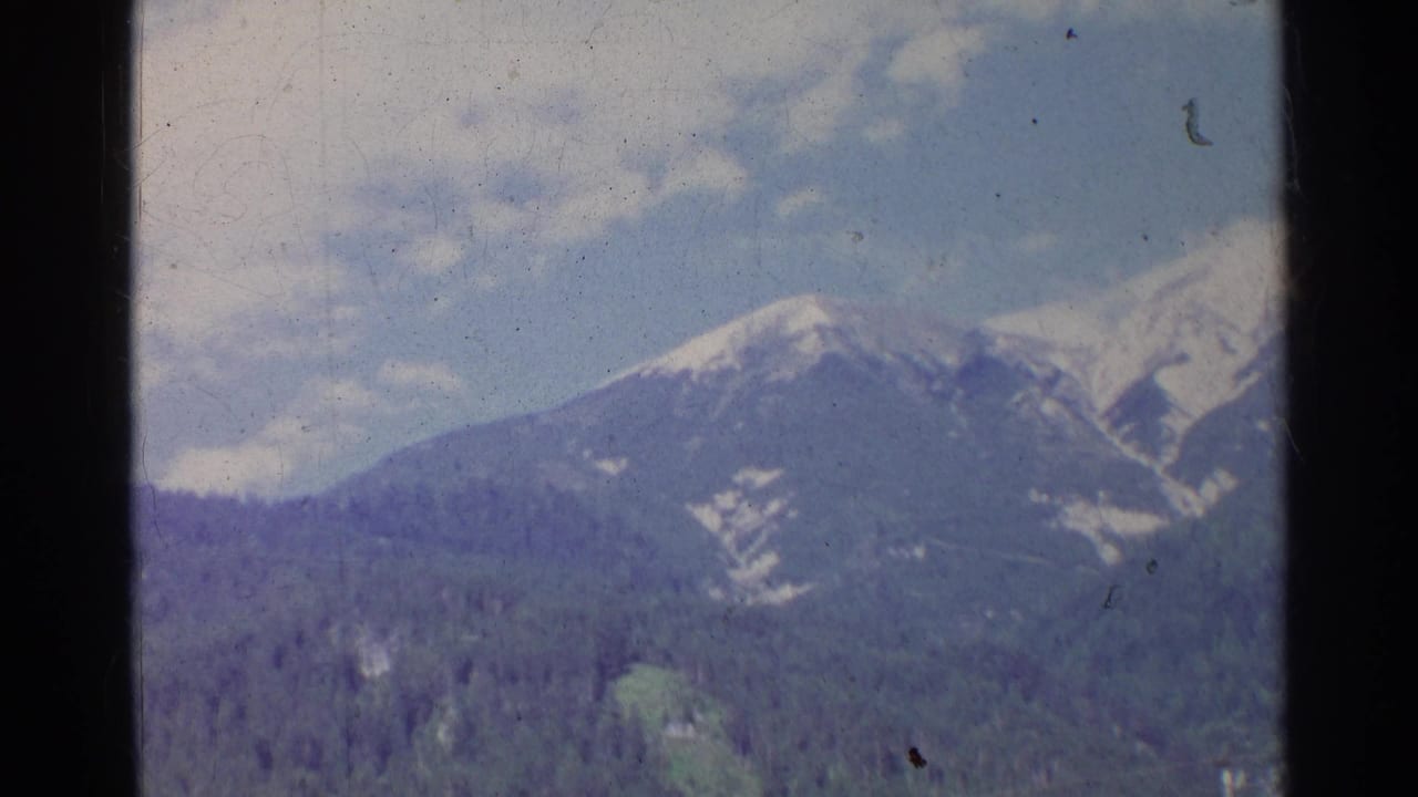 1961 Germany home-movie view of snow-capped mountains rising beyond dense pine forest, with soft 8mm color and grain.