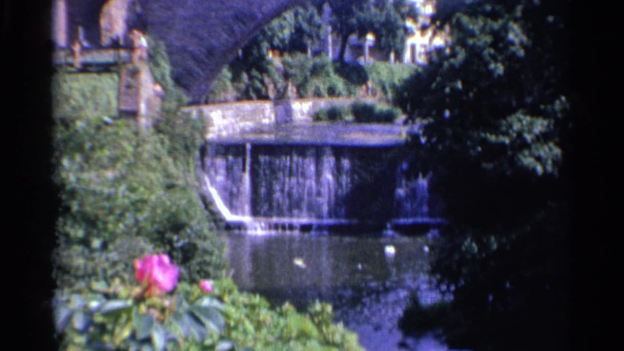 1961 Germany 8mm frame showing a pink rose in front of leafy banks, a small waterfall, and a stone bridge over a stream.
