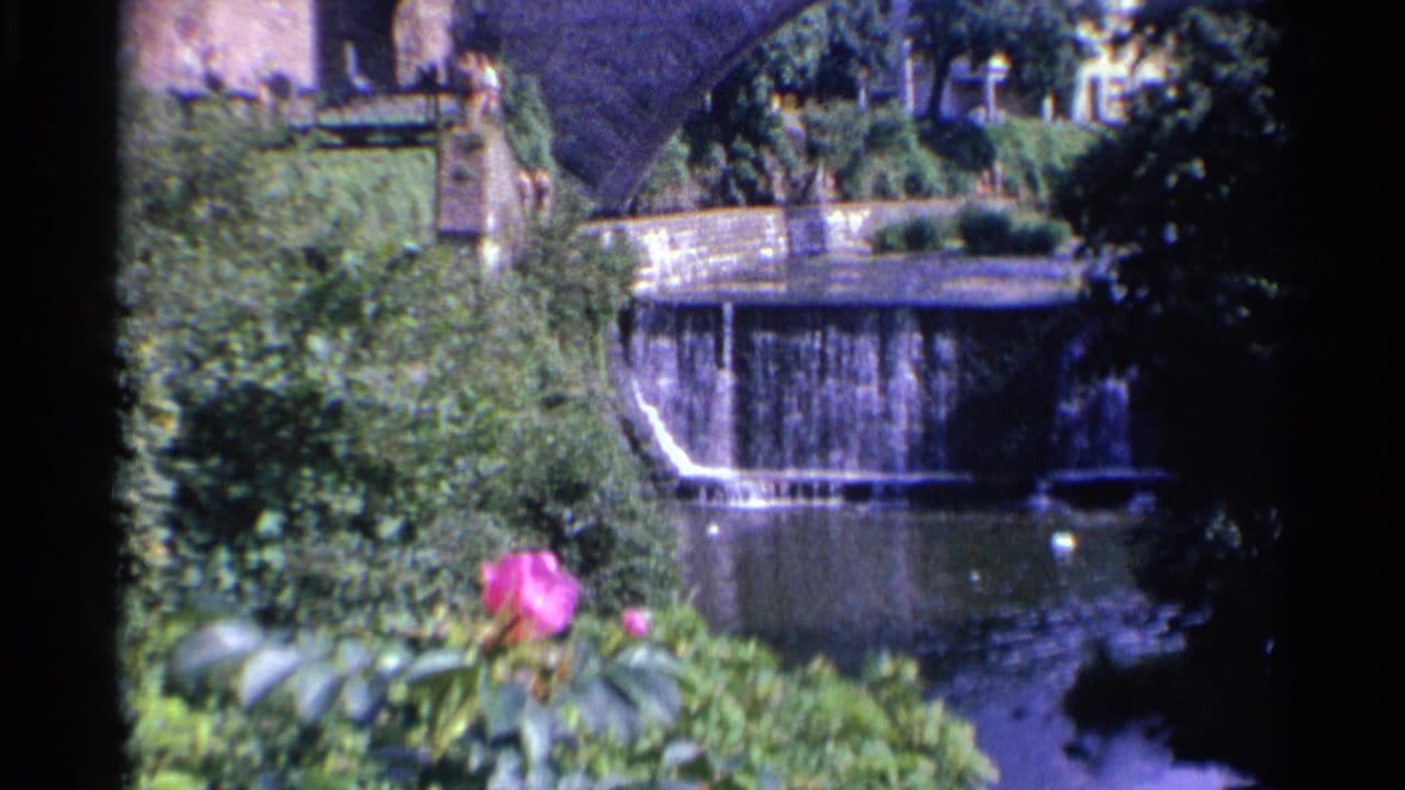 Garden stream and low waterfall seen past a pink rose, with a stone bridge behind.