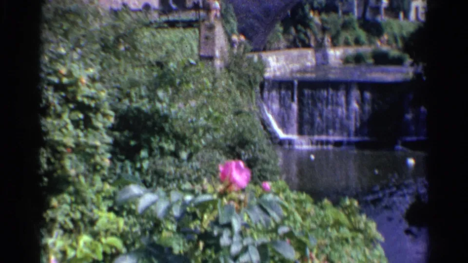 1961 Germany 8mm view of dense garden foliage, a pink rose, and a small waterfall entering a stream near a bridge.