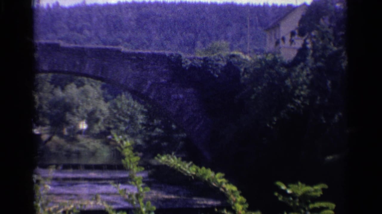 1961 Germany frame with a stone arch bridge crossing a river, leafy vegetation, a wooded hillside, and buildings partly visible behind trees.