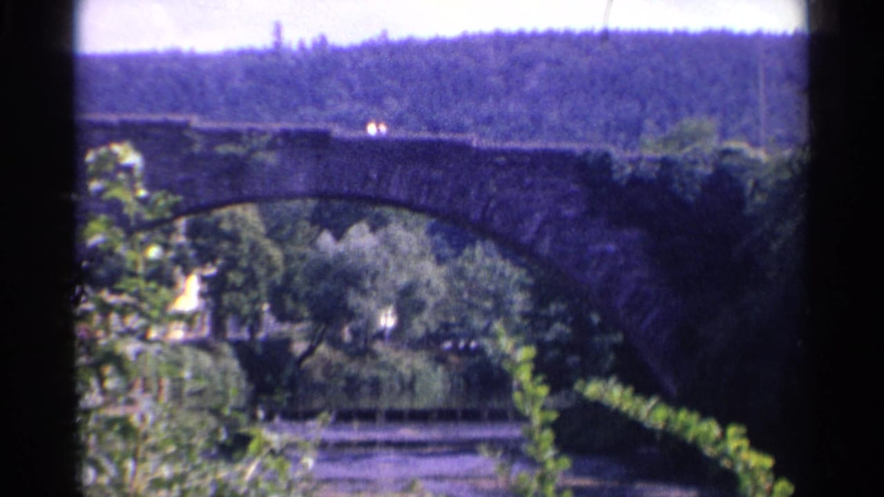 Stone arch bridge behind leafy foreground plants with a wooded hill beyond.