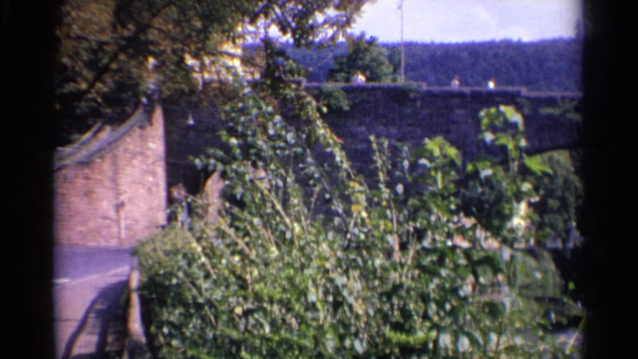 Paved road curves beside foliage toward a stone bridge.
