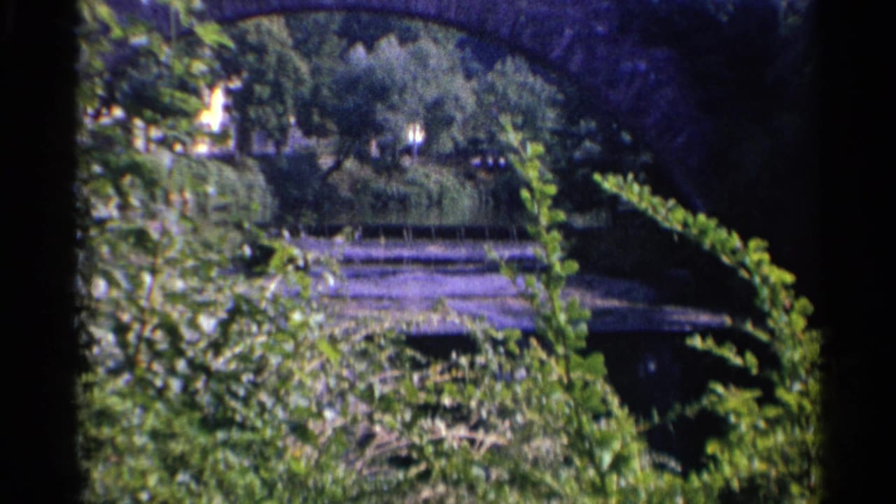 Soft 8mm frame from 1961 Germany showing a wooded riverside area with bridge structure and foliage in the foreground.