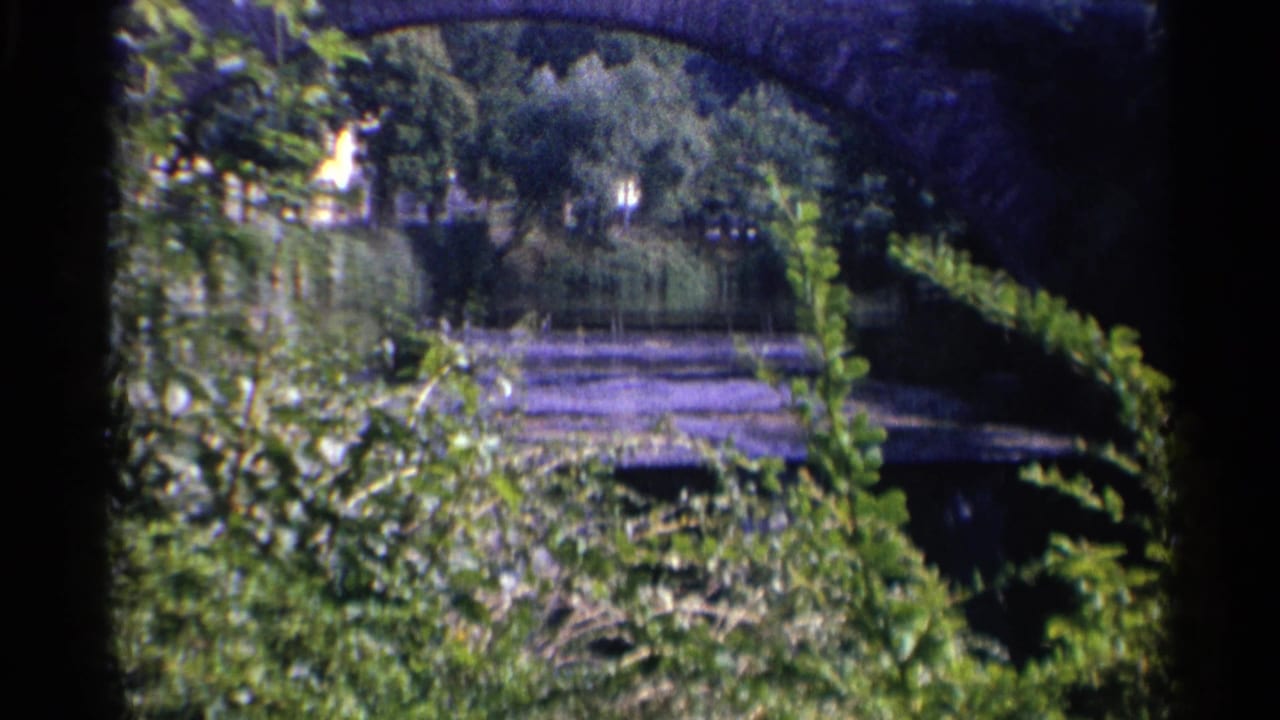 Stone arch bridge and riverside greenery seen through foreground leaves.