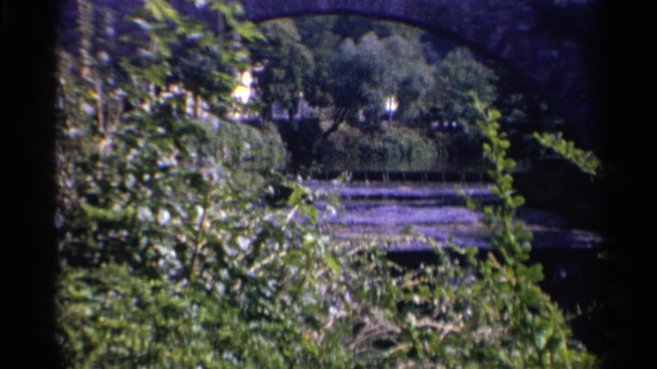 A German countryside bridge is viewed through dense leaves, with river water and wooded banks below.